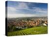 Germany, Baden-Wurttemberg, Esslingen-Am-Neckar, View from Vineyards-Walter Bibikow-Stretched Canvas