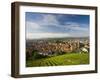 Germany, Baden-Wurttemberg, Esslingen-Am-Neckar, View from Vineyards-Walter Bibikow-Framed Photographic Print