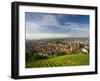 Germany, Baden-Wurttemberg, Esslingen-Am-Neckar, View from Vineyards-Walter Bibikow-Framed Photographic Print