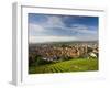Germany, Baden-Wurttemberg, Esslingen-Am-Neckar, View from Vineyards-Walter Bibikow-Framed Photographic Print
