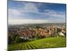 Germany, Baden-Wurttemberg, Esslingen-Am-Neckar, View from Vineyards-Walter Bibikow-Mounted Photographic Print