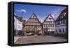 Germany, Baden-Wurttemberg, Metropolregion Stuttgart, Kirchheim Unter Teck, Marketplace-Udo Siebig-Framed Stretched Canvas