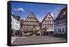 Germany, Baden-Wurttemberg, Metropolregion Stuttgart, Kirchheim Unter Teck, Marketplace-Udo Siebig-Framed Stretched Canvas