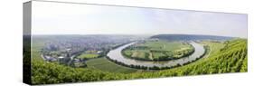 Germany, Baden-Wurttemberg, Mundelsheim, Neckarschleife-Herbert Kehrer-Stretched Canvas