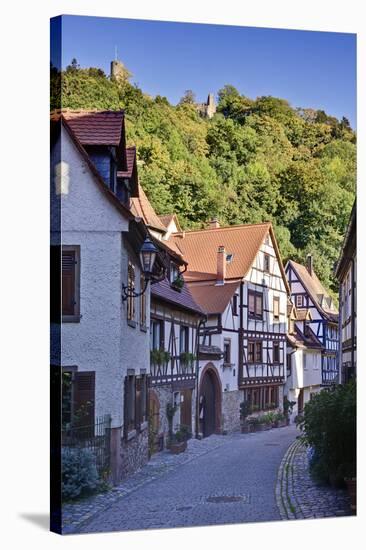 Germany, Baden Wurttemberg, Odenwald (Region), Bergstra§e (Region), Weinheim (Town-Udo Siebig-Stretched Canvas