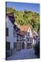 Germany, Baden Wurttemberg, Odenwald (Region), Bergstra§e (Region), Weinheim (Town-Udo Siebig-Stretched Canvas