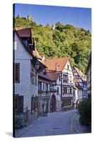 Germany, Baden Wurttemberg, Odenwald (Region), Bergstra§e (Region), Weinheim (Town-Udo Siebig-Stretched Canvas