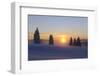 Germany, Baden-Wurttemberg, South Black Forest, Feldberg Area, Winter Scenery, Sunrise-Herbert Kehrer-Framed Photographic Print