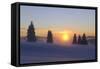 Germany, Baden-Wurttemberg, South Black Forest, Feldberg Area, Winter Scenery, Sunrise-Herbert Kehrer-Framed Stretched Canvas