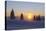 Germany, Baden-Wurttemberg, South Black Forest, Feldberg Area, Winter Scenery, Sunrise-Herbert Kehrer-Stretched Canvas