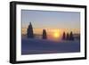 Germany, Baden-Wurttemberg, South Black Forest, Feldberg Area, Winter Scenery, Sunrise-Herbert Kehrer-Framed Photographic Print