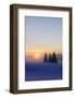Germany, Baden-Wurttemberg, South Black Forest, Feldberg (Mountain), Winter Scenery, Sunrise-Herbert Kehrer-Framed Photographic Print