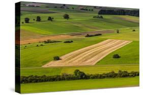 Germany, Baden-Wurttemberg, Swabian Alp, Mittlere Kuppenalb, Burladingen-Udo Siebig-Stretched Canvas