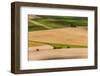 Germany, Baden-Wurttemberg, Swabian Alp, Mittlere Kuppenalb, Burladingen-Udo Siebig-Framed Photographic Print