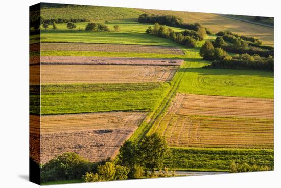 Germany, Baden-Wurttemberg, Swabian Alp, Mittlere Kuppenalb, Burladingen-Udo Siebig-Stretched Canvas