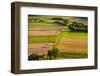 Germany, Baden-Wurttemberg, Swabian Alp, Mittlere Kuppenalb, Burladingen-Udo Siebig-Framed Photographic Print