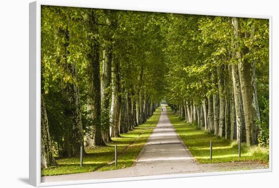 Germany, Baden-Wurttemberg, Unterer Schlossgarten (Lower Castle Gardens-Udo Siebig-Framed Photographic Print