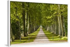 Germany, Baden-Wurttemberg, Unterer Schlossgarten (Lower Castle Gardens-Udo Siebig-Framed Photographic Print