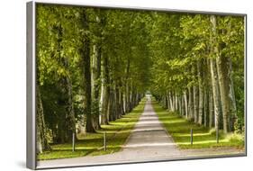 Germany, Baden-Wurttemberg, Unterer Schlossgarten (Lower Castle Gardens-Udo Siebig-Framed Photographic Print