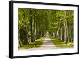 Germany, Baden-Wurttemberg, Unterer Schlossgarten (Lower Castle Gardens-Udo Siebig-Framed Photographic Print