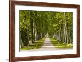 Germany, Baden-Wurttemberg, Unterer Schlossgarten (Lower Castle Gardens-Udo Siebig-Framed Photographic Print