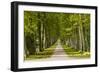 Germany, Baden-Wurttemberg, Unterer Schlossgarten (Lower Castle Gardens-Udo Siebig-Framed Photographic Print