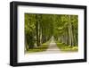 Germany, Baden-Wurttemberg, Unterer Schlossgarten (Lower Castle Gardens-Udo Siebig-Framed Photographic Print