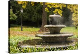 Germany, Baden-Wurttemburg, Baden-Baden, Outdoor Hot Spring, Fall-Walter Bibikow-Stretched Canvas