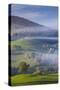 Germany, Baden-Wurttemburg, Black Forest, Horben, Morning Fog, Autumn-Walter Bibikow-Stretched Canvas