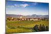 Germany, Baden-Wurttemburg, Burkheim, Kaiserstuhl Area, Vineyards Elevated Village View-Walter Bibikow-Mounted Premium Photographic Print