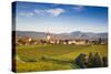 Germany, Baden-Wurttemburg, Burkheim, Kaiserstuhl Area, Vineyards Elevated Village View-Walter Bibikow-Stretched Canvas