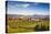 Germany, Baden-Wurttemburg, Burkheim, Kaiserstuhl Area, Vineyards Elevated Village View-Walter Bibikow-Stretched Canvas