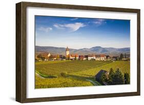 Germany, Baden-Wurttemburg, Burkheim, Kaiserstuhl Area, Vineyards Elevated Village View-Walter Bibikow-Framed Photographic Print