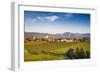 Germany, Baden-Wurttemburg, Burkheim, Kaiserstuhl Area, Vineyards Elevated Village View-Walter Bibikow-Framed Photographic Print