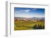 Germany, Baden-Wurttemburg, Burkheim, Kaiserstuhl Area, Vineyards Elevated Village View-Walter Bibikow-Framed Photographic Print