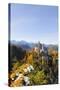 Germany, Bavaria, AllgŠu, Neuschwanstein Castle-Herbert Kehrer-Stretched Canvas