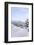 Germany, Bavaria, AllgŠu, Neuschwanstein Castle-Herbert Kehrer-Framed Photographic Print