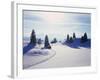 Germany, Bavaria, AllgŠu, Snow Scenery, Back Light, Alps, Mountains, Loneliness, Mountains, Winter-Herbert Kehrer-Framed Photographic Print