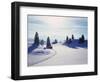 Germany, Bavaria, AllgŠu, Snow Scenery, Back Light, Alps, Mountains, Loneliness, Mountains, Winter-Herbert Kehrer-Framed Photographic Print