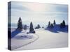 Germany, Bavaria, AllgŠu, Snow Scenery, Back Light, Alps, Mountains, Loneliness, Mountains, Winter-Herbert Kehrer-Stretched Canvas