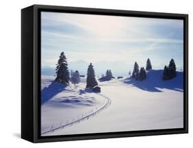 Germany, Bavaria, AllgŠu, Snow Scenery, Back Light, Alps, Mountains, Loneliness, Mountains, Winter-Herbert Kehrer-Framed Stretched Canvas