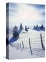 Germany, Bavaria, AllgŠu, Snow Scenery, Back Light, Alps, Mountains, Loneliness, Mountains, Winter-Herbert Kehrer-Stretched Canvas