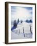 Germany, Bavaria, AllgŠu, Snow Scenery, Back Light, Alps, Mountains, Loneliness, Mountains, Winter-Herbert Kehrer-Framed Photographic Print