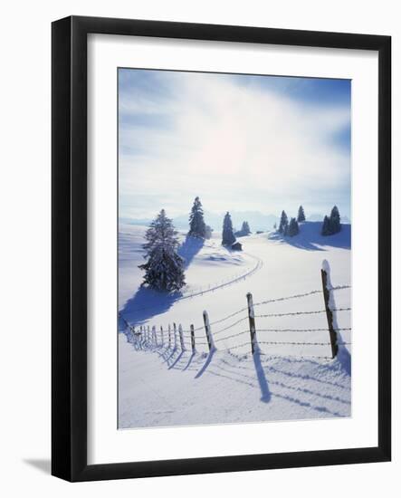 Germany, Bavaria, AllgŠu, Snow Scenery, Back Light, Alps, Mountains, Loneliness, Mountains, Winter-Herbert Kehrer-Framed Photographic Print