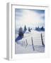 Germany, Bavaria, AllgŠu, Snow Scenery, Back Light, Alps, Mountains, Loneliness, Mountains, Winter-Herbert Kehrer-Framed Photographic Print