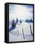 Germany, Bavaria, AllgŠu, Snow Scenery, Back Light, Alps, Mountains, Loneliness, Mountains, Winter-Herbert Kehrer-Framed Stretched Canvas