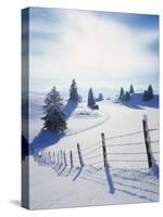 Germany, Bavaria, AllgŠu, Snow Scenery, Back Light, Alps, Mountains, Loneliness, Mountains, Winter-Herbert Kehrer-Stretched Canvas