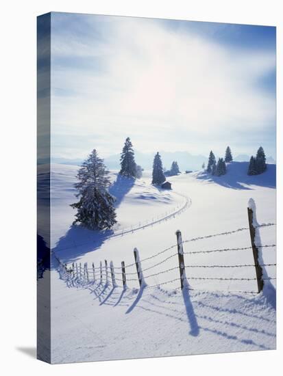 Germany, Bavaria, AllgŠu, Snow Scenery, Back Light, Alps, Mountains, Loneliness, Mountains, Winter-Herbert Kehrer-Stretched Canvas