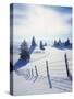 Germany, Bavaria, AllgŠu, Snow Scenery, Back Light, Alps, Mountains, Loneliness, Mountains, Winter-Herbert Kehrer-Stretched Canvas