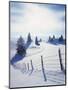 Germany, Bavaria, AllgŠu, Snow Scenery, Back Light, Alps, Mountains, Loneliness, Mountains, Winter-Herbert Kehrer-Mounted Premium Photographic Print